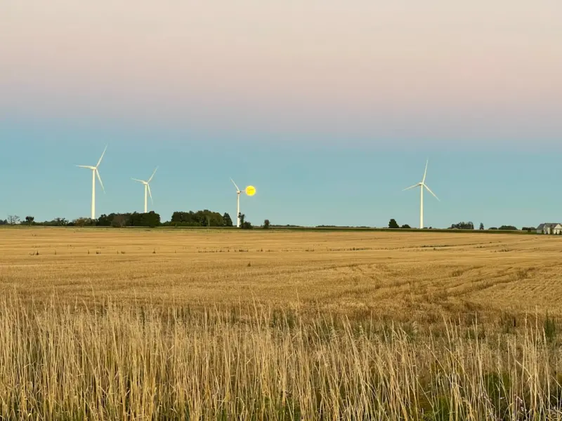 From Coast to Prairie: How Community Energy Cooperatives Are Redefining Canada’s National Grid