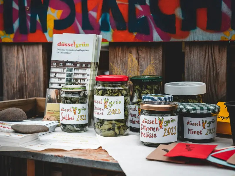 Fermentation Nation: Wild Cultures Are Rewriting the Food & Drink Landscape