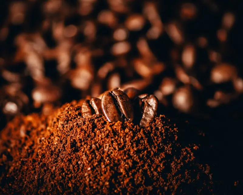 From Coffee Grounds to Kombucha: Mastering Zero‑Waste Home Brewing