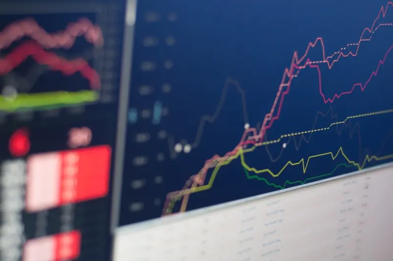 Charting Personalized Horizons: How Data Is Redefining Cruises and Bus Tours