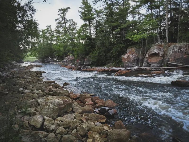 Hidden Tributaries: Ontario’s Untapped Fishing Havens