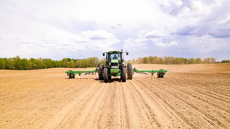 Cultivating Seed Sovereignty: How Canadian Farmers are Safeguarding the Future