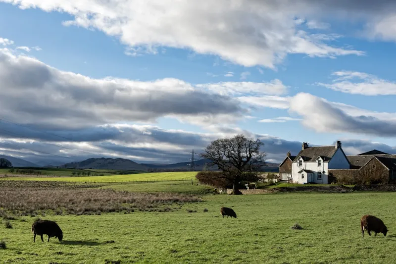Rural Living on a Budget: My Top Tips for Saving Money