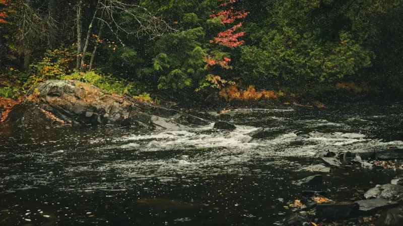 Reeling in the Unexpected: How Ontario’s Freshwater Frontiers Are Redefining the Modern Angler