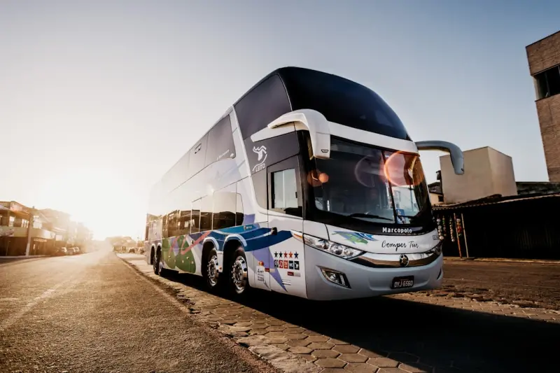 Exploring Uncharted Itineraries: How Niche Cruise Themes and Boutique Bus Routes Redefine the Road Trip