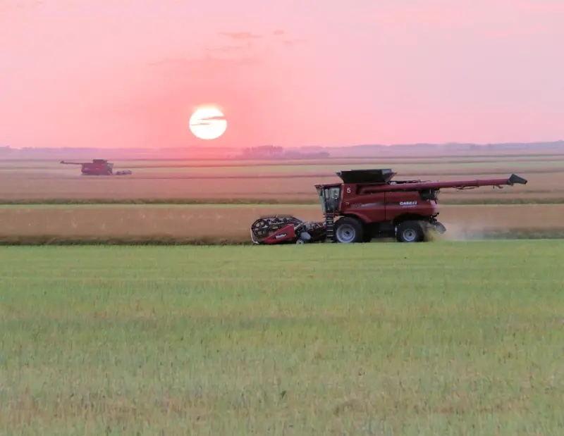 Harvesting Light: Canadian Farms Turn to Renewable Energy