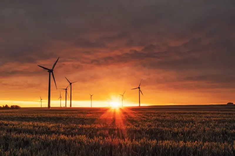 Powering the Future: Clean Energy’s Impact on Cruises and Bus Tours