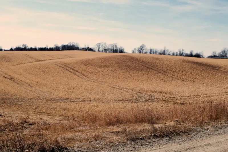 Powering the Prairies: Turning Farm Land into Renewable Energy Hubs