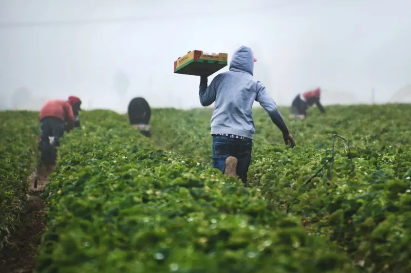 Beyond the Fields: A Farmer’s Journey to Resilience and Innovation