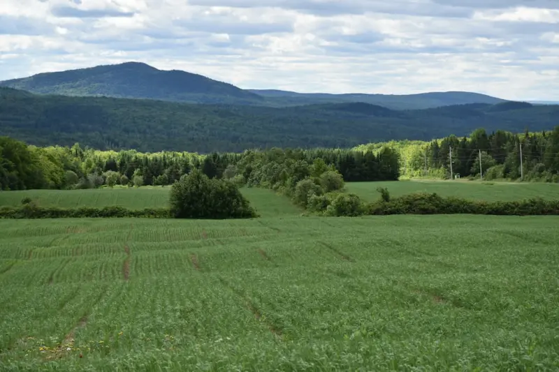 Regenerative Farming: A Strategic Blueprint for Canadian Growers