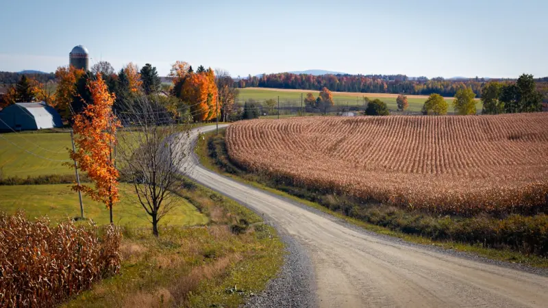 From Fields to Experiences: How Canadian Farmers Are Turning Their Land into Destination Adventures From Fields to Experiences: How Canadian Farmers Are Turning Their Land into Destination Adventures
