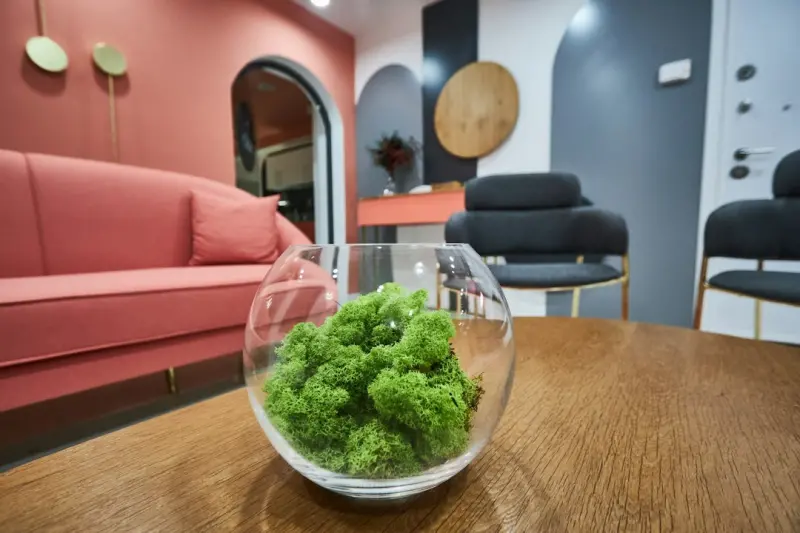 Colorful Bowl Culture: Reinventing Office Snacks for Energy and Focus