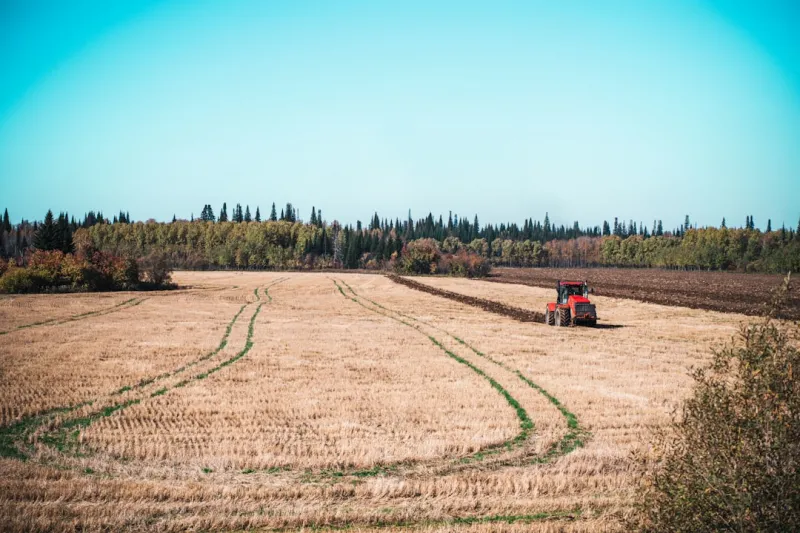 From the Furrow to the Future: A Canadian Farmer’s Perspective on Resilience and Growth From the Furrow to the Future: A Canadian Farmer’s Perspective on Resilience and Growth