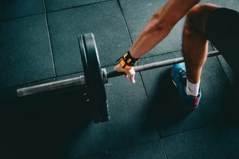 Plant‑Powered Performance: Building Muscle, Focus, and Energy with Whole‑Food Proteins Plant‑Powered Performance: Building Muscle, Focus, and Energy with Whole‑Food Proteins