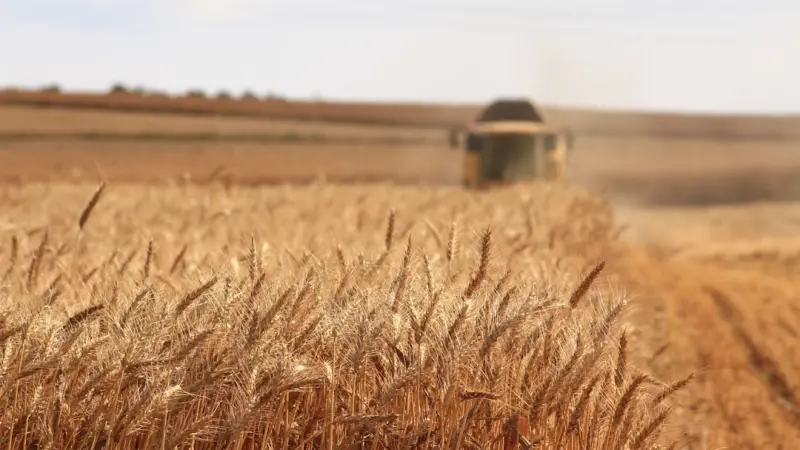 Harvesting Power: How Canadian Farmers are Turning Renewable Energy into a Competitive Edge