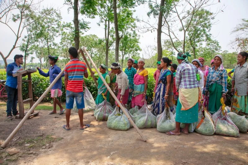 The Unseen Struggles of Rural Communities: A Call for Support and Understanding
