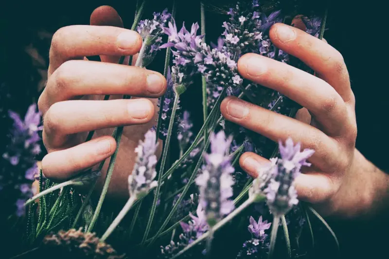 Unlocking the Healing Power of Everyday Herbs