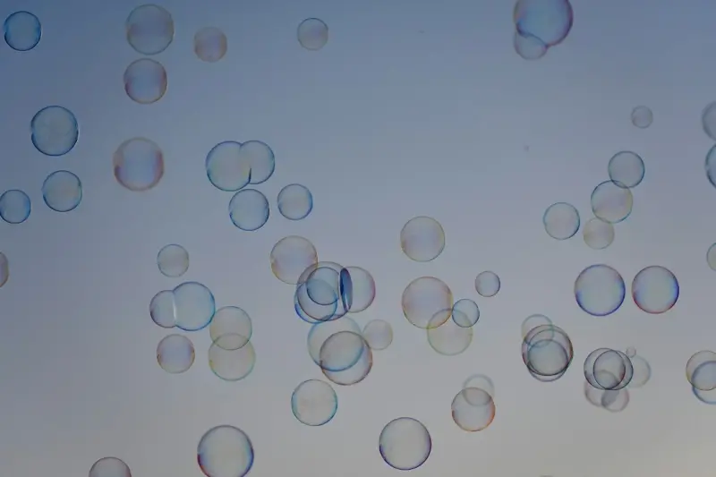 Fermented Futures: Tiny Bubbles Redefining Office Snacks Fermented Futures: Tiny Bubbles Redefining Office Snacks