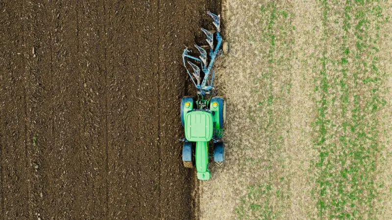 Cultivating Connection: How Canadian Farmers Use Storytelling to Grow Brands