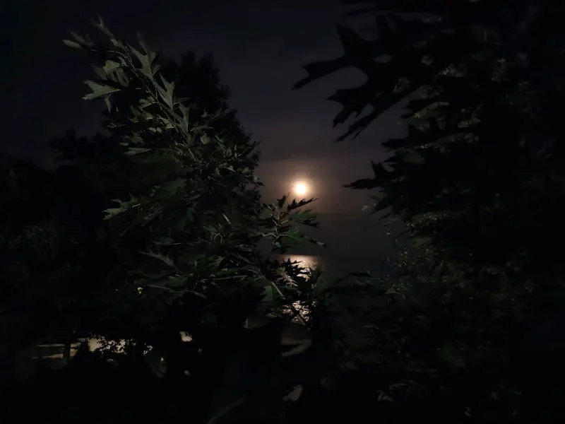 Chasing the Midnight Bite: Ontario’s Hidden Night Fishing Gems