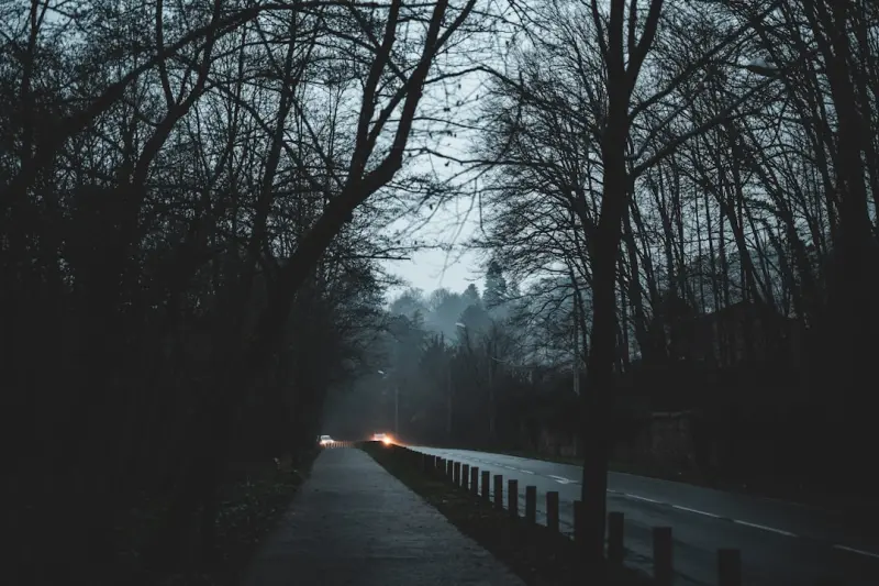 Decoding Dark Social: Unseen Pathways to B2B Growth Decoding Dark Social: Unseen Pathways to B2B Growth