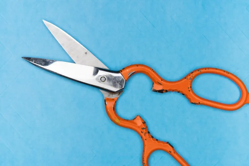Cutting Costs Without Cutting Corners: My Top Tips for Saving Money in Canada Cutting Costs Without Cutting Corners: My Top Tips for Saving Money in Canada