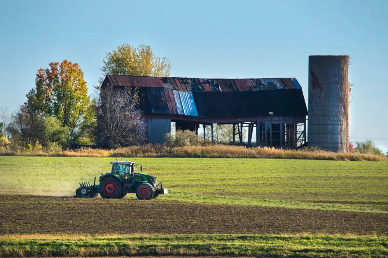 Slashing Your Rural Expenses: Insider Tips for Savvy Living
