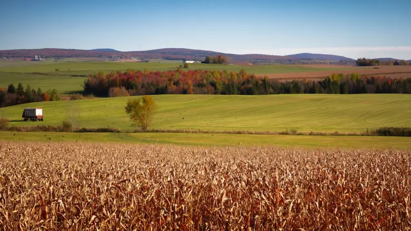 How Canadian Farmers Are Reimagining Direct‑to‑Consumer Sales