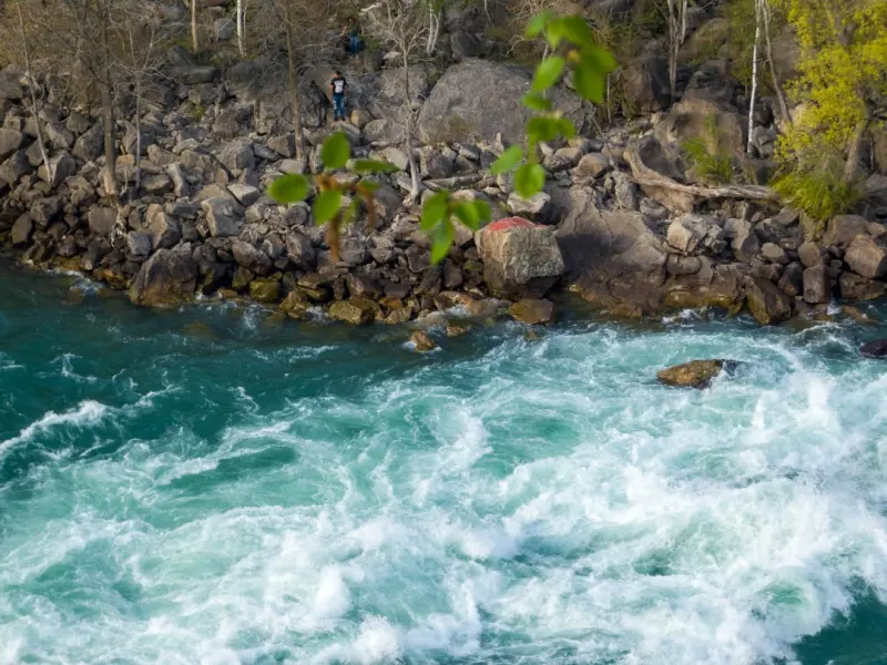 Ontario's Fresh Wave: Reviving Indigenous Fishing Wisdom for Modern Anglers