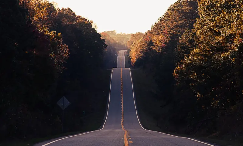 Reimagining the Open Road: Data‑Driven Personalization Transforms Cruises & Bus Tours Reimagining the Open Road: Data‑Driven Personalization Transforms Cruises & Bus Tours