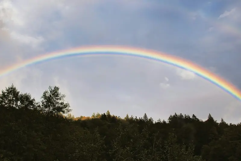 Why Eating a Rainbow Is the Next Big Thing in Healthy Foods
