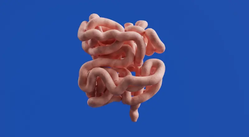 Fermentation Frontiers: Unlocking Gut Health for High‑Performance Professionals
