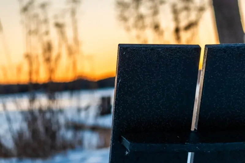 Ontario’s Seasonal Fishing Playbook: Timing, Tactics, and Tradition