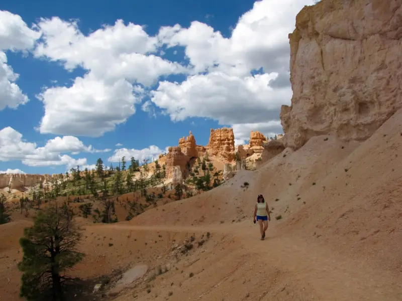 Beyond the Tourist Trail: Crafting Purposeful Volunteer Adventures