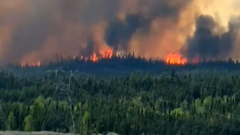Manitoba Wildfires: Red Cross Appeal Launched, Pop-Up Animal Shelter Opens to Support Evacuees and Their Pets Manitoba Wildfires: Red Cross Appeal Launched, Pop-Up Animal Shelter Opens to Support Evacuees and Their Pets