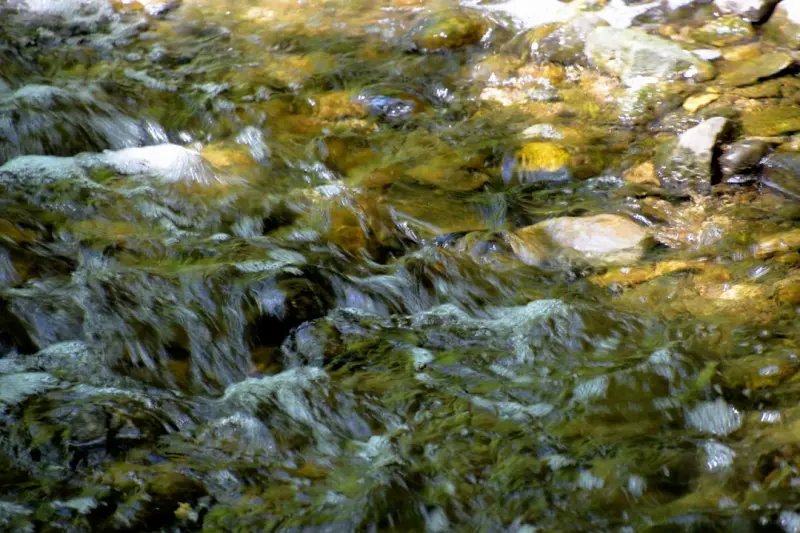 Ontario’s Hidden Spring Runoff: Fresh Waters, New Adventures