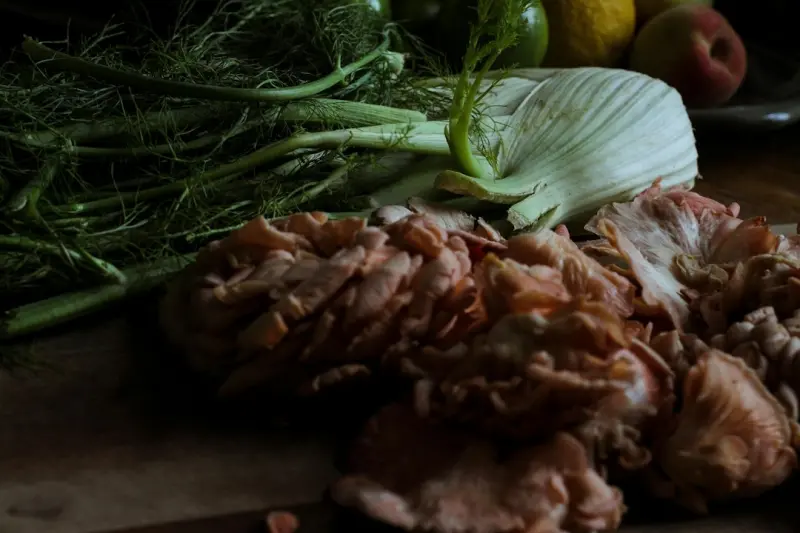 Seasonal Foraging Meets Fermentation: A Fresh Take on Everyday Nutrition