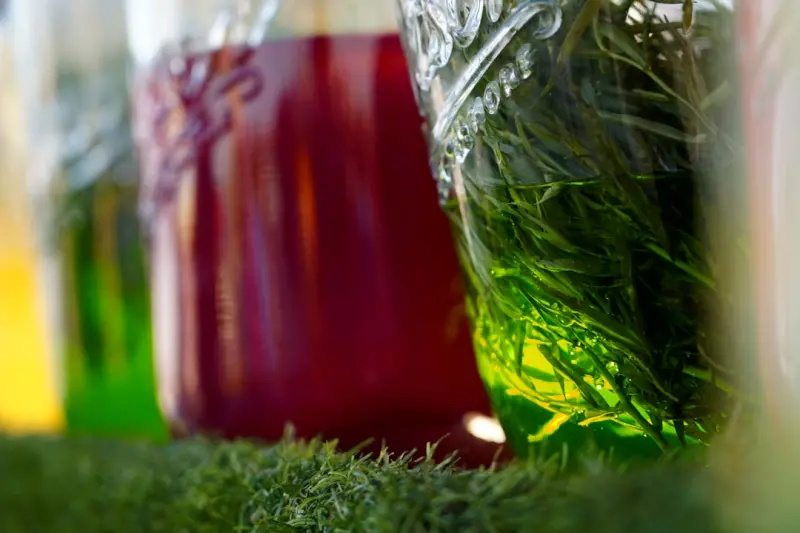 Fermentation Meets Seasonality: A Fresh Path to Vibrant Health