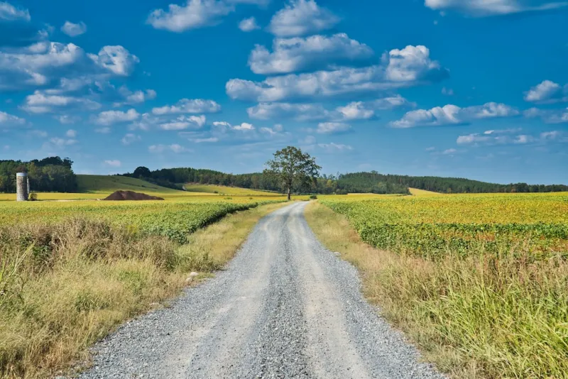 The Intersection of Law and Rural Living: Emerging Trends and Concerns The Intersection of Law and Rural Living: Emerging Trends and Concerns