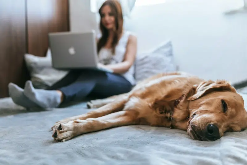 How Remote Work Is Redefining the Cost of Living Landscape