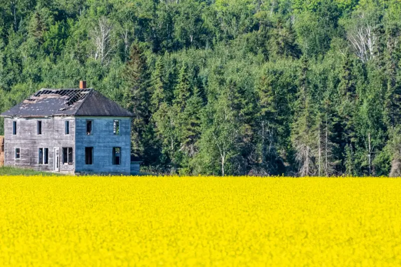 Reimagining the Canadian Homestead for Today’s Lifestyle
