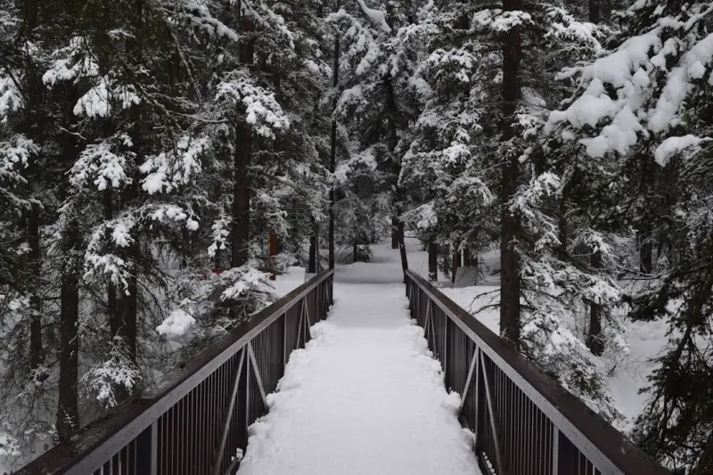 Winter’s Silver Screen: How Canada’s Snow Culture is Shaping New Entertainment