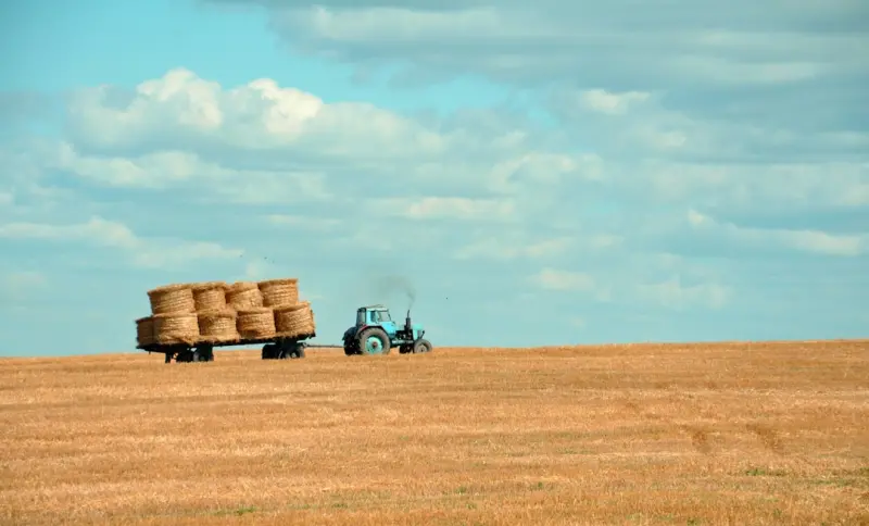 Harvesting Experiences: How Canadian Farmers are Redefining Agri‑Tourism for the Modern Guest